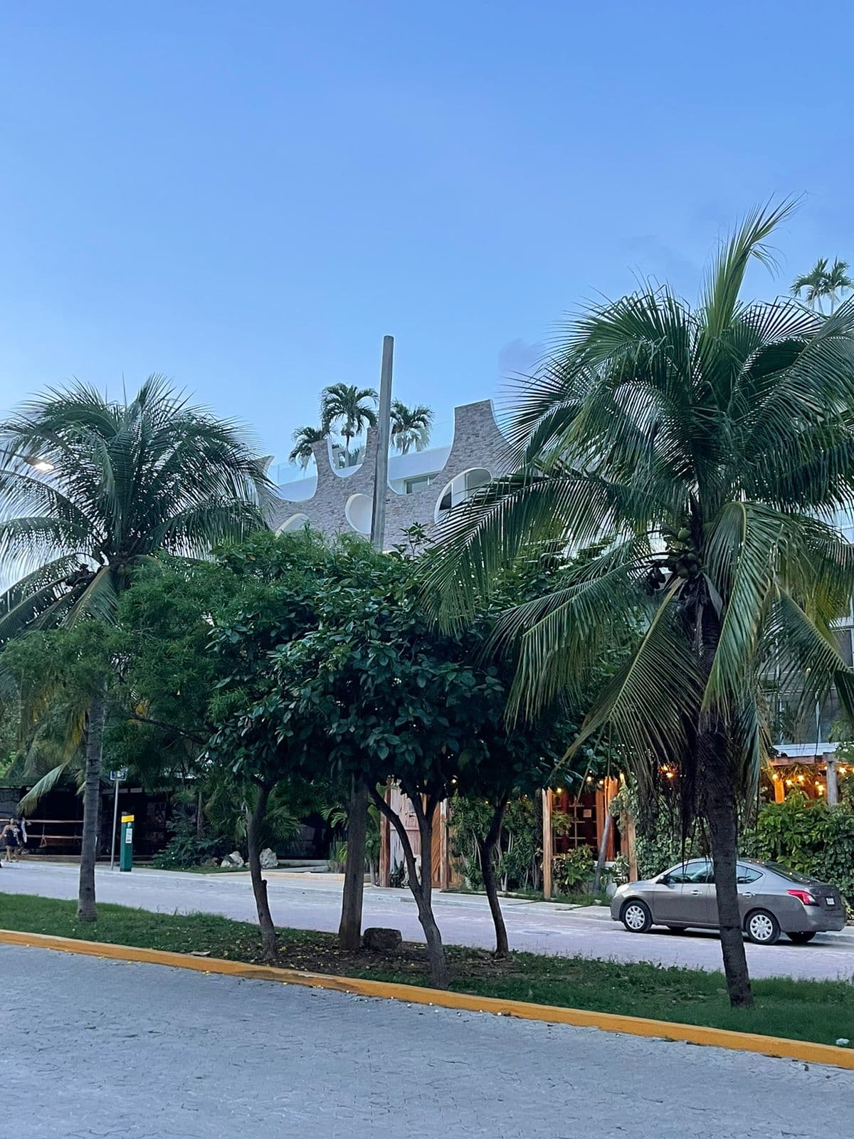 queer wnba players enjoy vibrant cancun entertainment during pride month