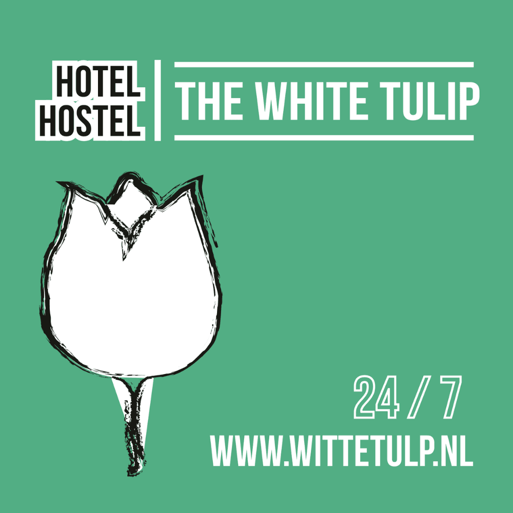 White Tulip Amsterdam hostels - Hotels & Lodging in Amsterdam