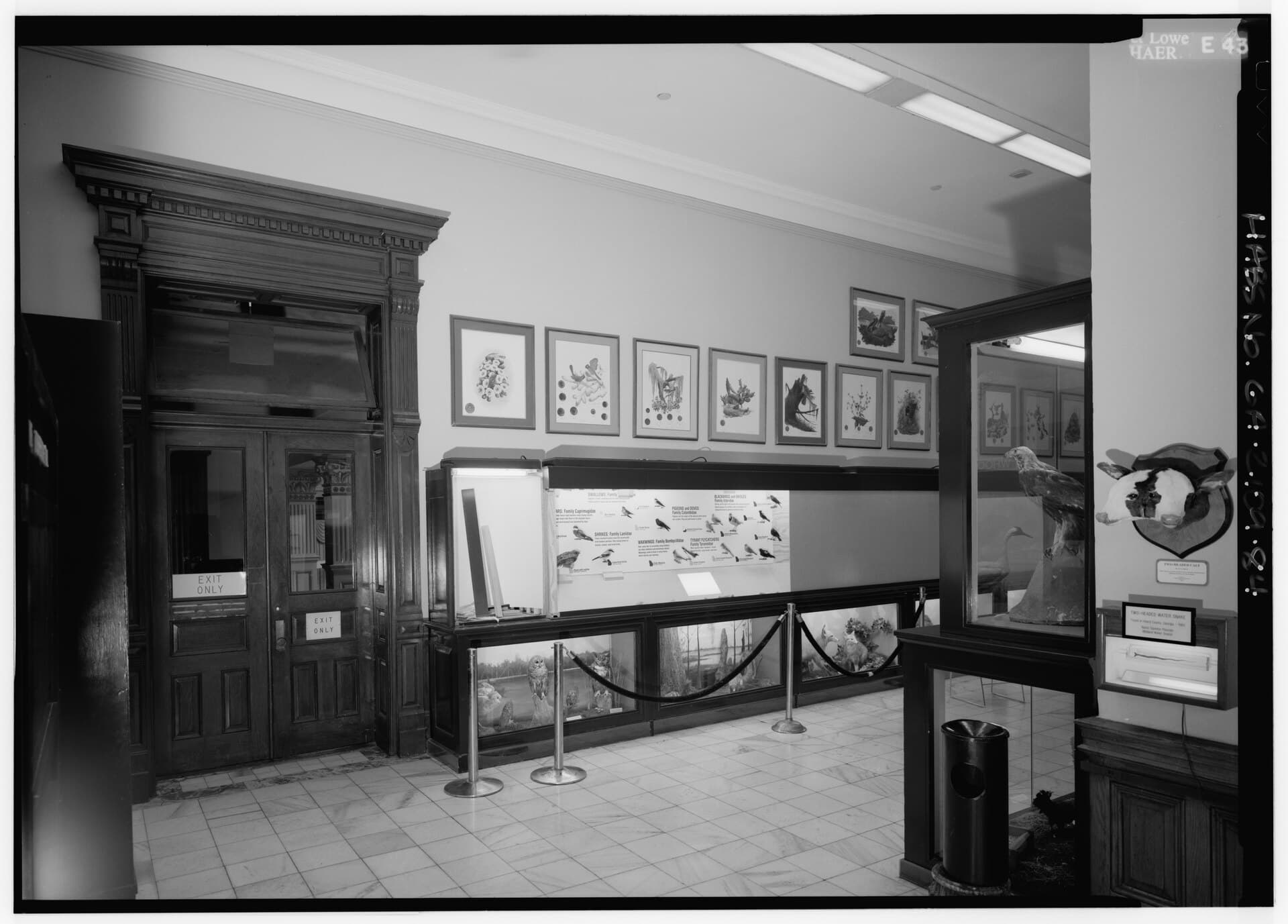 Gallery Hall - Arts & Entertainment in Atlanta