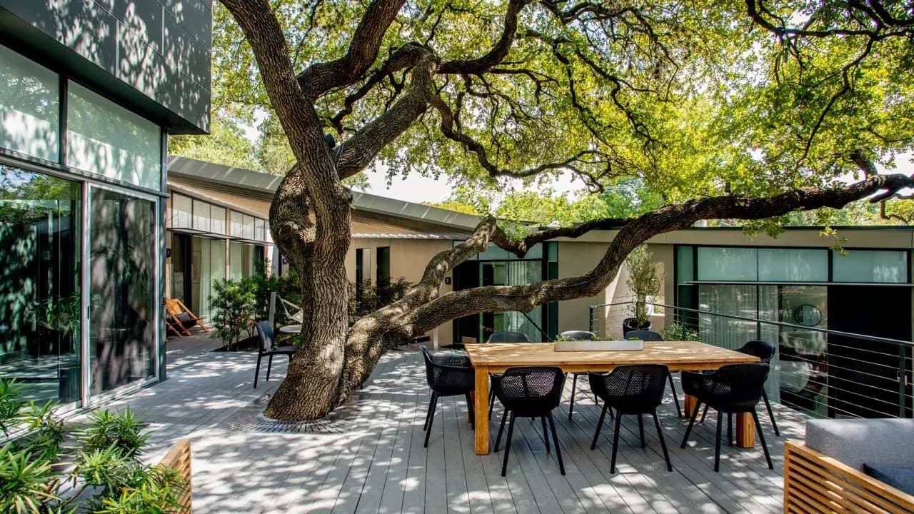 Frame Hotel - Treehouse photo 3