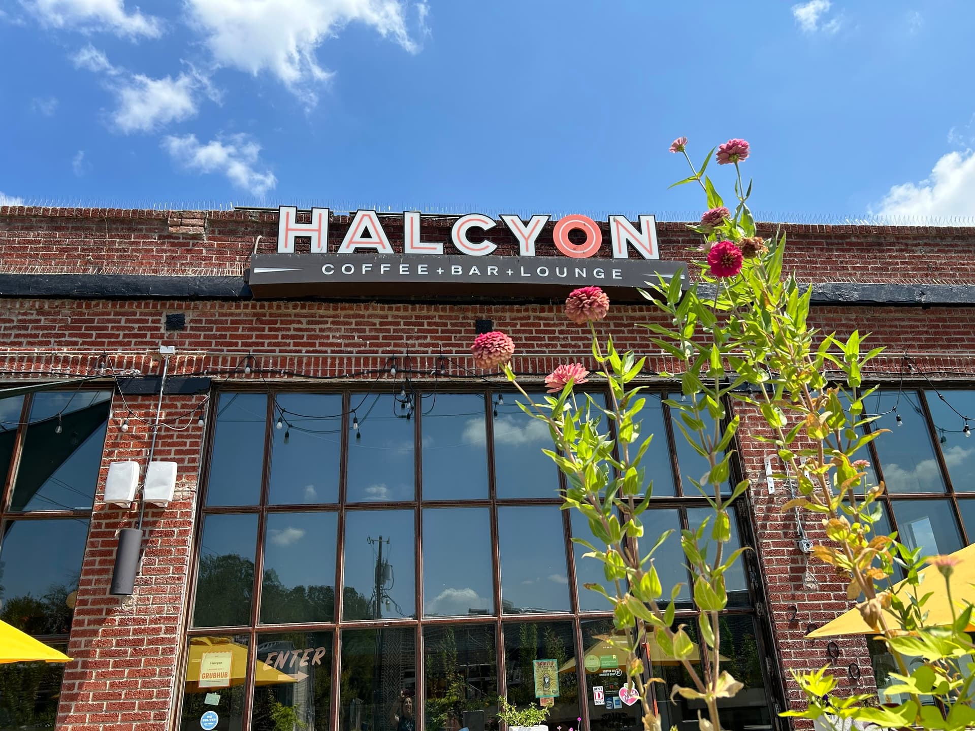 Halcyon photo 5