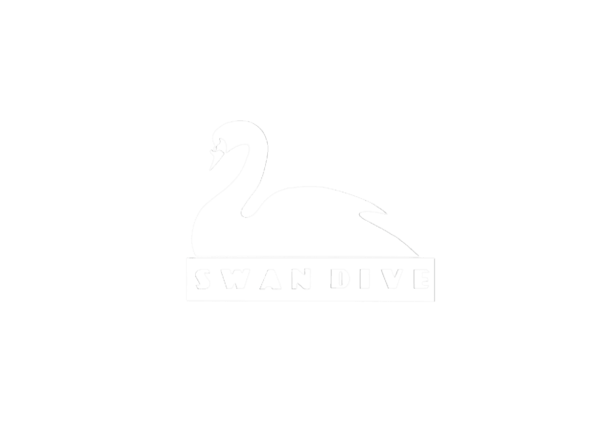 Swan Dive - Bars & Nightlife in Austin