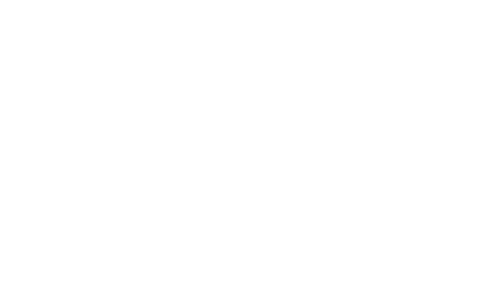 The Dizzy Rooster photo 2
