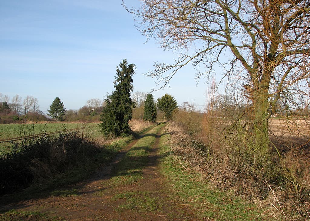 Tracks photo 2