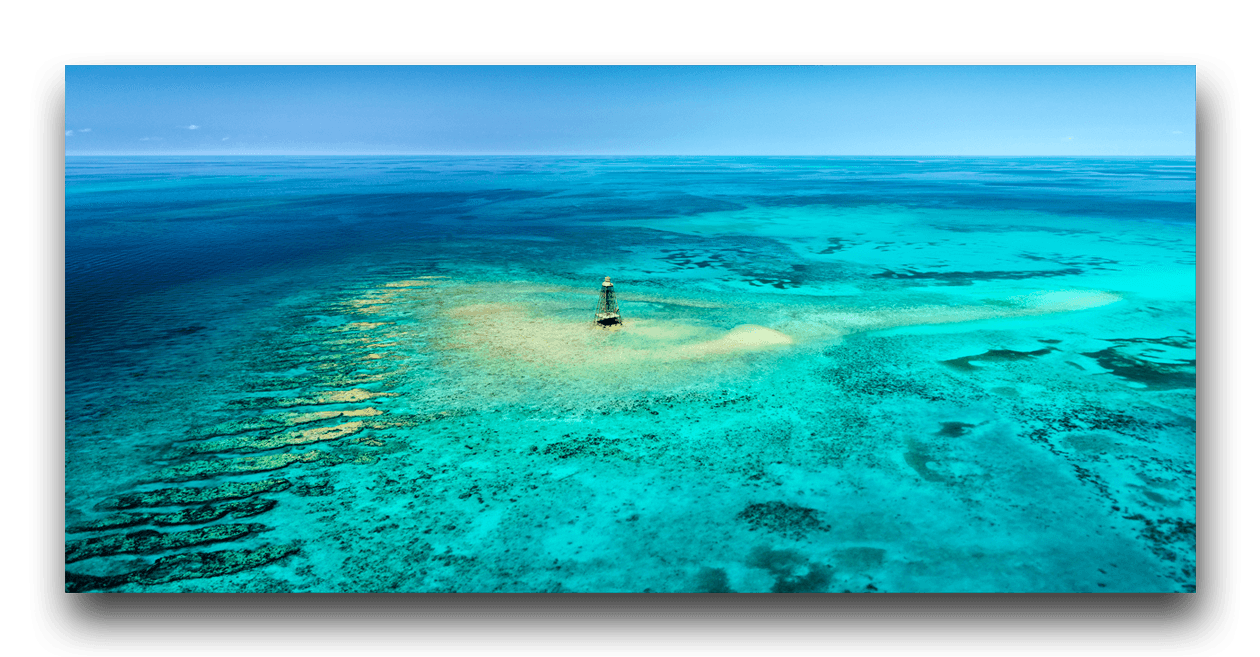 Alan S Maltz Gallery - Museums & Galleries in Key West