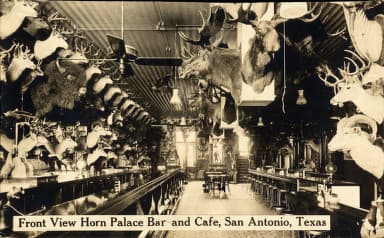 Palace Bar photo 2