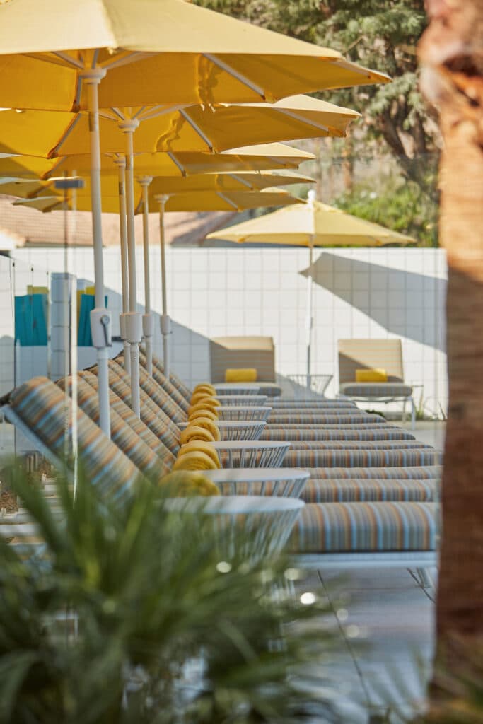 Twin Palms Resort - A Gay Men's Resort photo 5