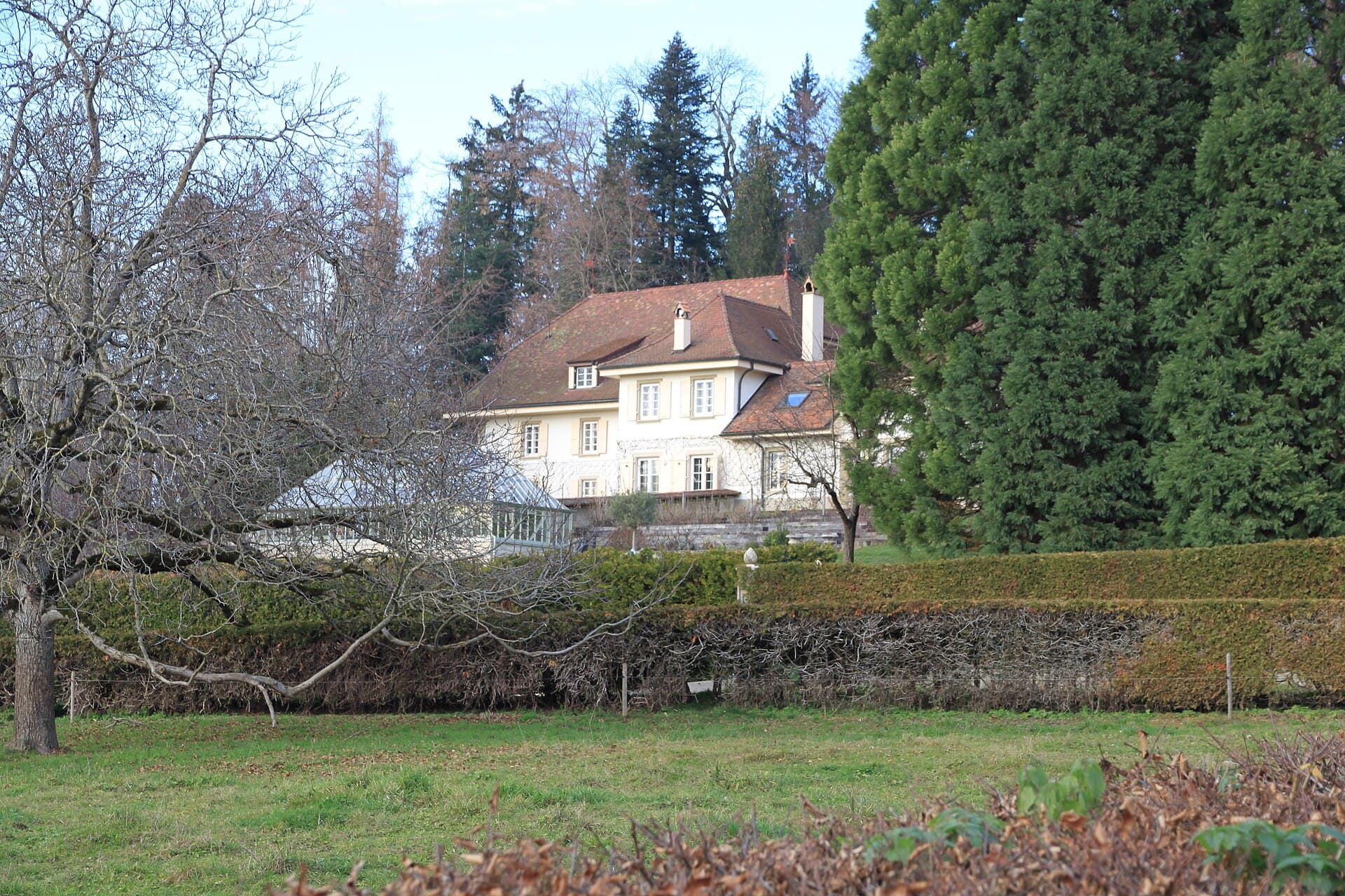 A-House photo 3