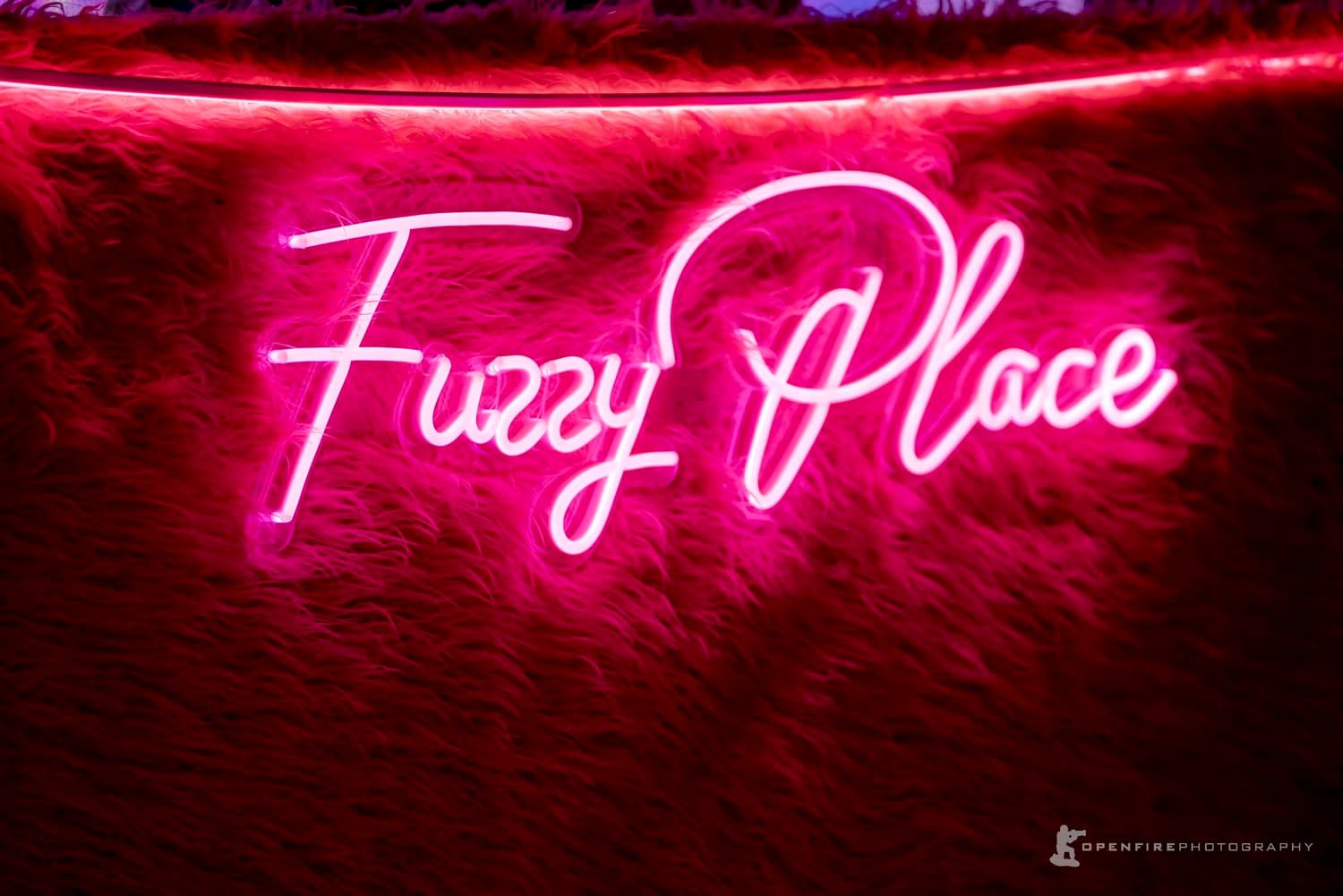 The Fuzzy Place - Museums & Galleries in San Francisco