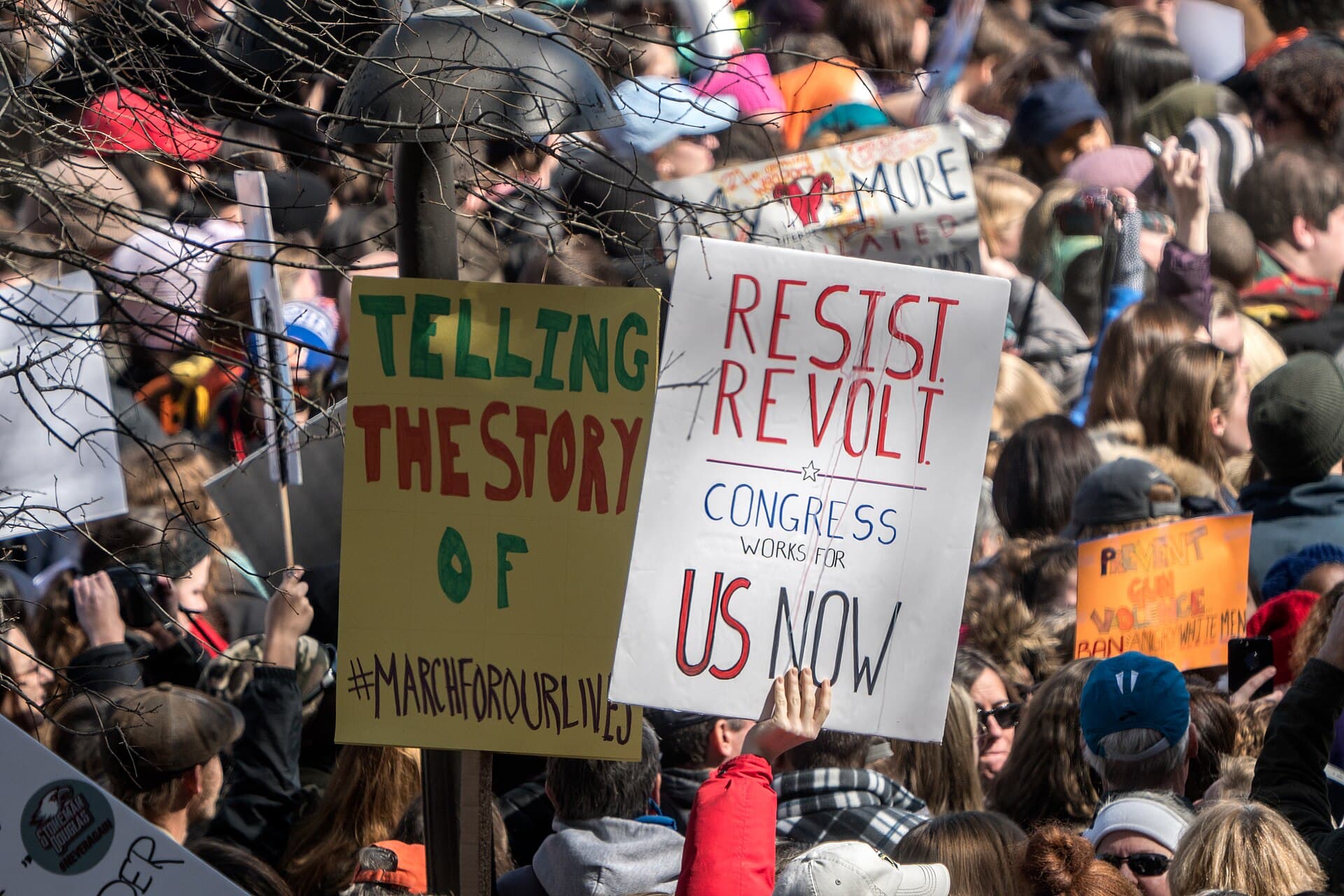 Revolt photo 2